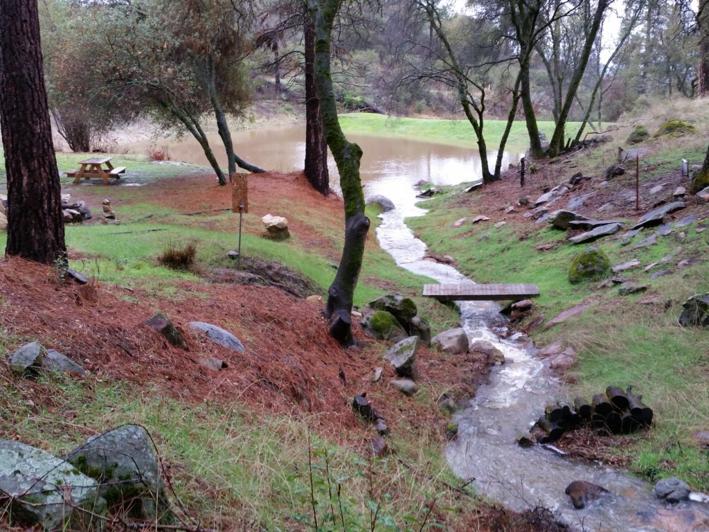 Picnic Area and Seasonal Creek flowing between Dec to April