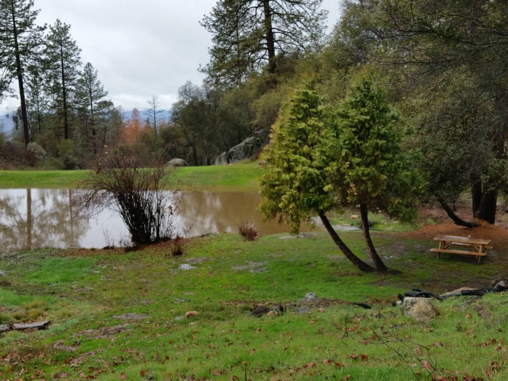 Overlooking pond and Picnic Area